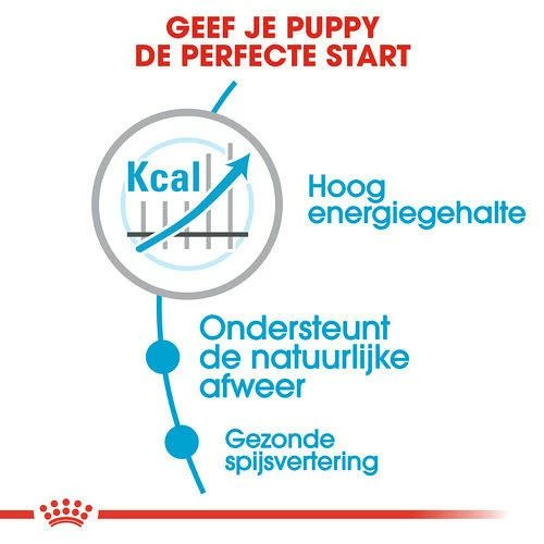 Royal Canin Hondenvoer Maxi Puppy Active 15 Kg 3 Royal Canin Hondenvoer Maxi Puppy Active 15 Kg - Afbeelding 3
