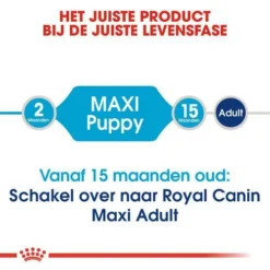 Royal Canin Hondenvoer Maxi Puppy 15 Kg 7 Royal Canin Hondenvoer Maxi Puppy 15 Kg -Exporteren AvoDierenRuiter winkel royal canin maxi puppy pup hond grote hondenrassen hero image 8