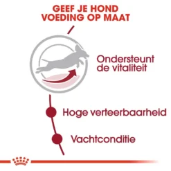 Royal Canin Hondenvoer Medium Adult 7+ 4 Kg 6 Royal Canin Hondenvoer Medium Adult 7+ 4 Kg -Exporteren AvoDierenRuiter winkel royal canin medium adult 7plus volwassen hond middelgrote hondenrassen vanaf 7 jaar hero usp