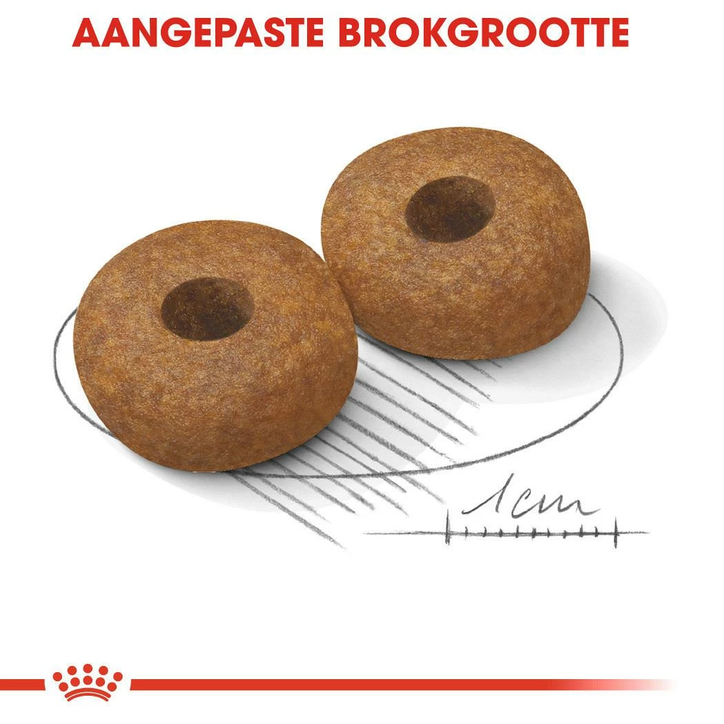 Royal Canin Hondenvoer Medium Ageing 10+ 3 Kg 2 Royal Canin Hondenvoer Medium Ageing 10+ 3 Kg - Afbeelding 2
