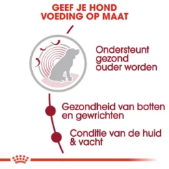 Royal Canin Hondenvoer Medium Ageing 10+ 3 Kg 6 Royal Canin Hondenvoer Medium Ageing 10+ 3 Kg -Exporteren AvoDierenRuiter winkel royal canin medium ageing 10plus senior hond oudere hond vanaf 10 jaar hero usp 1