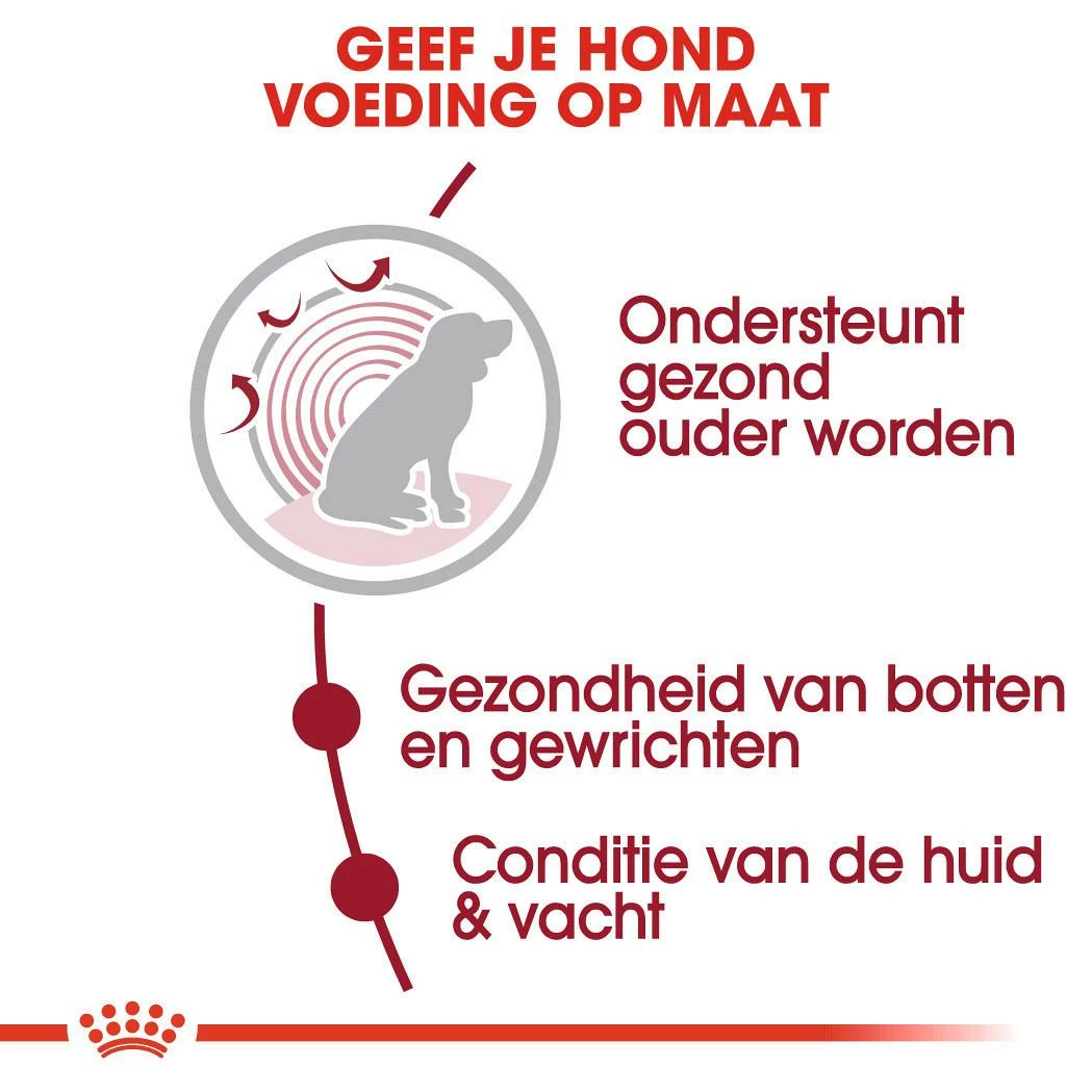 Royal Canin Hondenvoer Medium Ageing 10+ 15 Kg 3 Royal Canin Hondenvoer Medium Ageing 10+ 15 Kg - Afbeelding 3