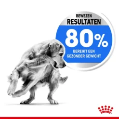 Royal Canin Hondenvoer Light Weight Care Medium 12 Kg 7 Royal Canin Hondenvoer Light Weight Care Medium 12 Kg -Exporteren AvoDierenRuiter winkel royal canin medium light weight care volwassen hond gewicht middelgrote hondenrassen hero usp