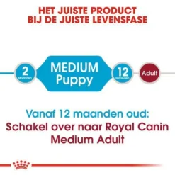 Royal Canin Hondenvoer Medium Puppy 15 Kg -Exporteren AvoDierenRuiter winkel royal canin medium puppy pup hond middelgrote hondenrassen hero image 8 1