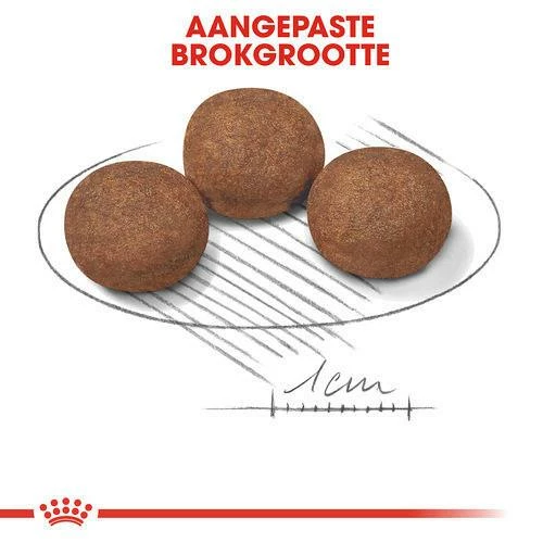 Royal Canin Hondenvoer Medium Puppy 10 Kg 2 Royal Canin Hondenvoer Medium Puppy 10 Kg - Afbeelding 2