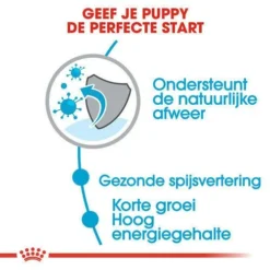 Royal Canin Hondenvoer Medium Puppy 10 Kg 6 Royal Canin Hondenvoer Medium Puppy 10 Kg -Exporteren AvoDierenRuiter winkel royal canin medium puppy pup hond middelgrote hondenrassen hero usp
