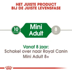 Royal Canin Hondenvoer Mini Adult 8 Kg -Exporteren AvoDierenRuiter winkel royal canin mini adult volwassen hond kleine hondenrassen hero image 9
