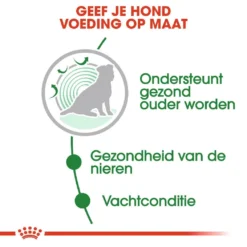 Royal Canin Hondenvoer Mini Ageing 12+ 12 X 85 Gr 7 Royal Canin Hondenvoer Mini Ageing 12+ 12 X 85 Gr -Exporteren AvoDierenRuiter winkel royal canin mini ageing 12plus natvoer senior hond oudere hond vanaf 12 jaar hero usp