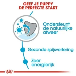 Royal Canin Hondenvoer Mini Puppy 2 Kg 6 Royal Canin Hondenvoer Mini Puppy 2 Kg -Exporteren AvoDierenRuiter winkel royal canin mini puppy pup hond kleine hondenrassen hero usp