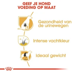 Royal Canin Hondenvoer Mini Schnauzer Adult 7,5 Kg 5 Royal Canin Hondenvoer Mini Schnauzer Adult 7,5 Kg -Exporteren AvoDierenRuiter winkel royal canin mini schnauzer adult volwassen hond dwergschnauzer vanaf 10 maanden hero usp