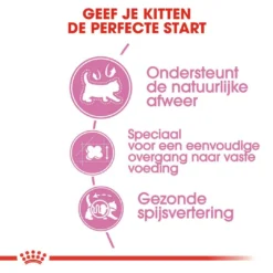 Royal Canin Kattenvoer Mother & Babycat 2 Kg 5 Royal Canin Kattenvoer Mother & Babycat 2 Kg -Exporteren AvoDierenRuiter winkel royal canin mother babycat kitten kat moederpoes hero usp 1