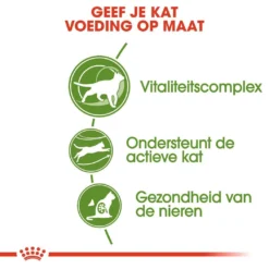 Royal Canin Kattenvoer Outdoor 7+ 4 Kg 6 Royal Canin Kattenvoer Outdoor 7+ 4 Kg -Exporteren AvoDierenRuiter winkel royal canin outdoor 7plus volwassen kat buitenkatten vanaf 7 jaar hero usp 2