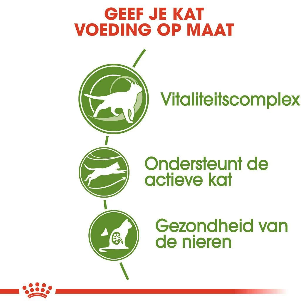 Royal Canin Kattenvoer Outdoor 7+ 4 Kg 3 Royal Canin Kattenvoer Outdoor 7+ 4 Kg - Afbeelding 3