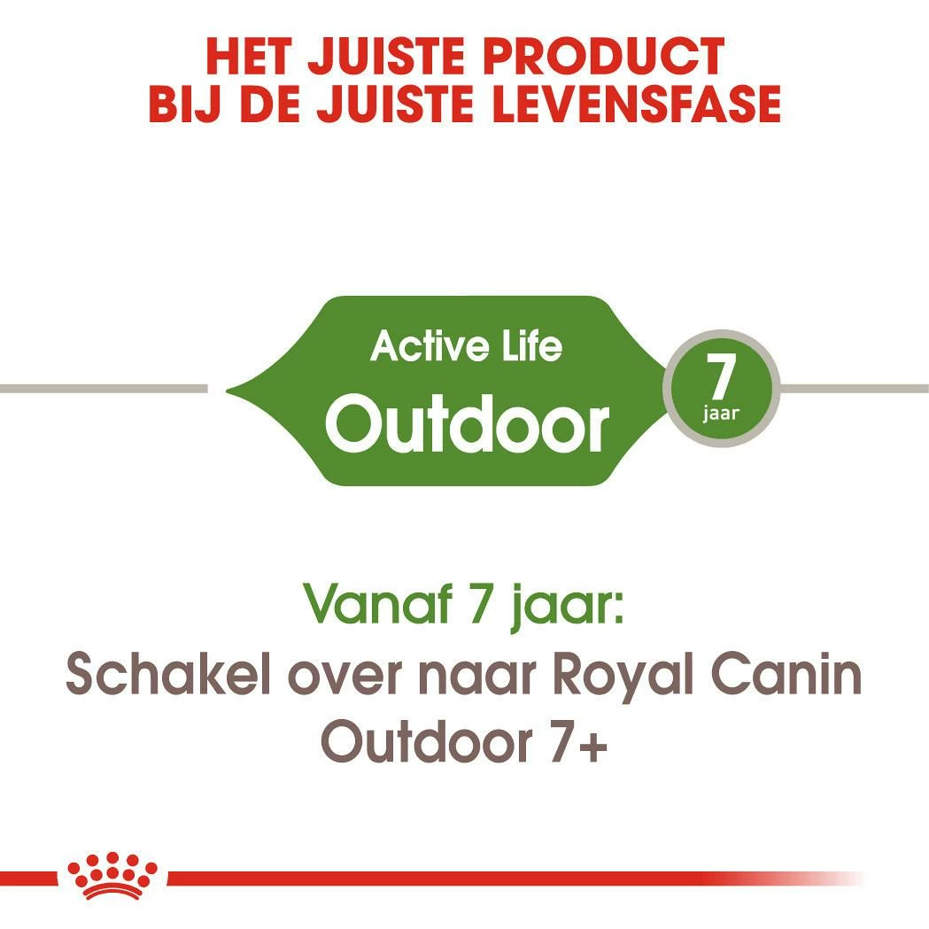 Royal Canin Kattenvoer Outdoor 2 Kg 4 Royal Canin Kattenvoer Outdoor 2 Kg - Afbeelding 4