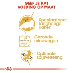 Royal Canin Kattenvoer Persian Adult 12 X 85 Gr -Exporteren AvoDierenRuiter winkel royal canin persian adult natvoer volwassen kat pers van 1 tot 12 jaar hero usp