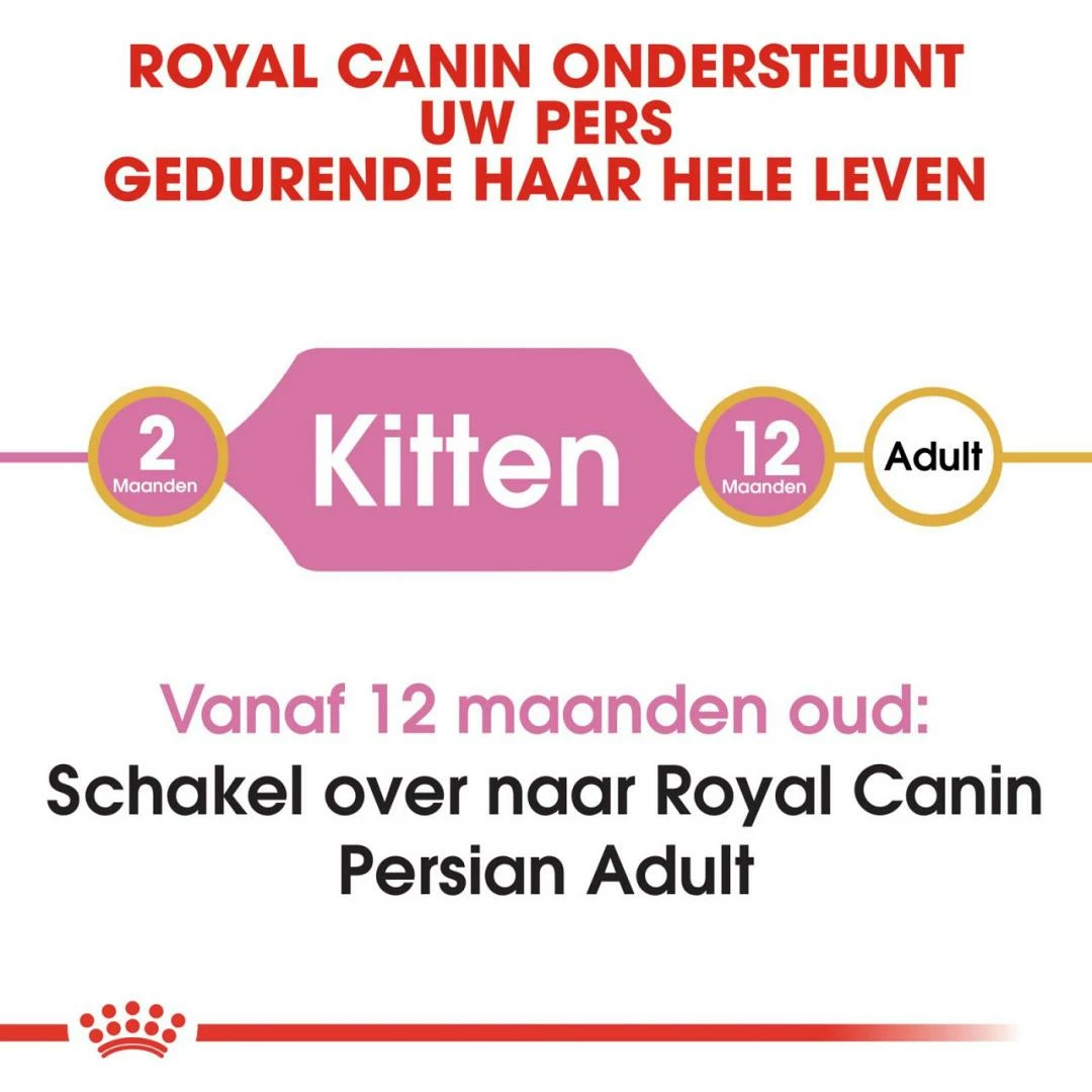Royal Canin Kattenvoer Persian Kitten 4 Kg 4 Royal Canin Kattenvoer Persian Kitten 4 Kg - Afbeelding 4
