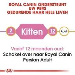 Royal Canin Kattenvoer Persian Kitten 10 Kg 7 Royal Canin Kattenvoer Persian Kitten 10 Kg -Exporteren AvoDierenRuiter winkel royal canin persian kitten kitten kat pers hero image 8