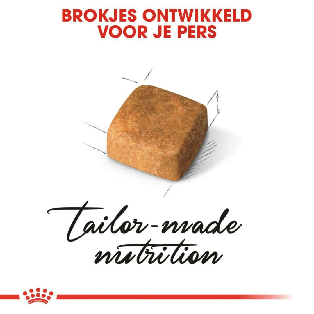 Royal Canin Kattenvoer Persian Kitten 4 Kg 2 Royal Canin Kattenvoer Persian Kitten 4 Kg - Afbeelding 2