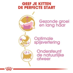 Royal Canin Kattenvoer Persian Kitten 2 Kg -Exporteren AvoDierenRuiter winkel royal canin persian kitten kitten kat pers hero usp 2