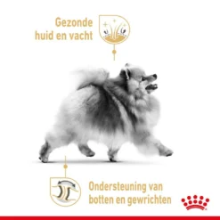 Royal Canin Hondenvoer Pomeranian Adult 3 Kg 5 Royal Canin Hondenvoer Pomeranian Adult 3 Kg -Exporteren AvoDierenRuiter winkel royal canin pomerian adult volwassen hond dwergkees vanaf 8 maanden hero usp