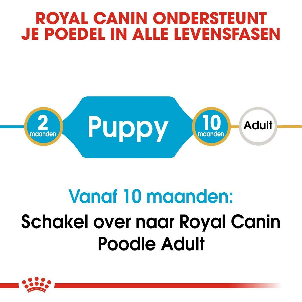 Royal Canin Hondenvoer Poodle Puppy 3 Kg 4 Royal Canin Hondenvoer Poodle Puppy 3 Kg - Afbeelding 4