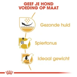 Royal Canin Hondenvoer Pug Adult 1,5 Kg 5 Royal Canin Hondenvoer Pug Adult 1,5 Kg -Exporteren AvoDierenRuiter winkel royal canin pug mopshond adult volwassen hond mopshond vanaf 10 maanden hero usp 2