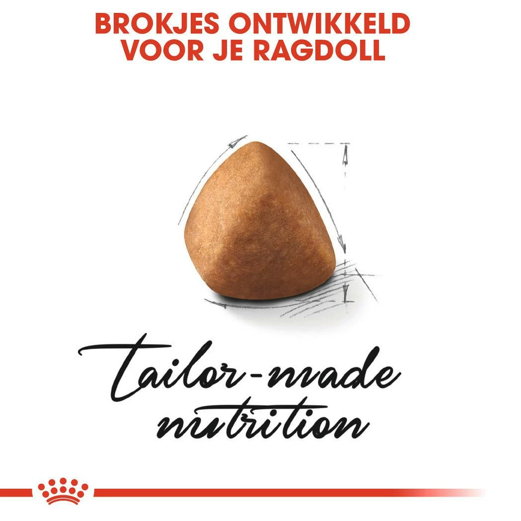 Royal Canin Kattenvoer Ragdoll Adult 10 Kg 2 Royal Canin Kattenvoer Ragdoll Adult 10 Kg - Afbeelding 2