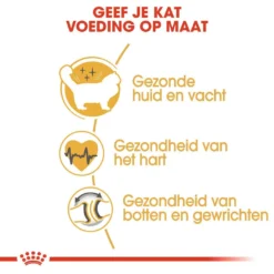 Royal Canin Kattenvoer Ragdoll Adult 10 Kg 5 Royal Canin Kattenvoer Ragdoll Adult 10 Kg -Exporteren AvoDierenRuiter winkel royal canin ragdoll adult volwassen kat ragdoll van 1 tot 12 jaar hero usp 1