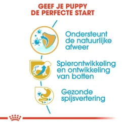 Royal Canin Hondenvoer Rottweiler Puppy 3 Kg -Exporteren AvoDierenRuiter winkel royal canin rottweiler junior pup hond rottweiler hero usp