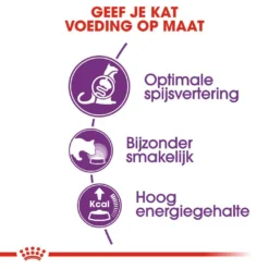 Royal Canin Kattenvoer Sensible 33 2 Kg 5 Royal Canin Kattenvoer Sensible 33 2 Kg -Exporteren AvoDierenRuiter winkel royal canin sensible 33 volwassen kat ondersteuning spijsvertering hero usp 1