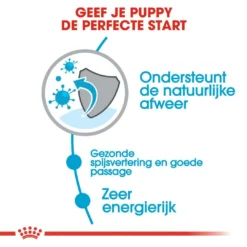 Royal Canin Hondenvoer X-Small Puppy 3 Kg 5 Royal Canin Hondenvoer X-Small Puppy 3 Kg -Exporteren AvoDierenRuiter winkel royal canin x small puppy pup hond kleine hondenrassen hero usp