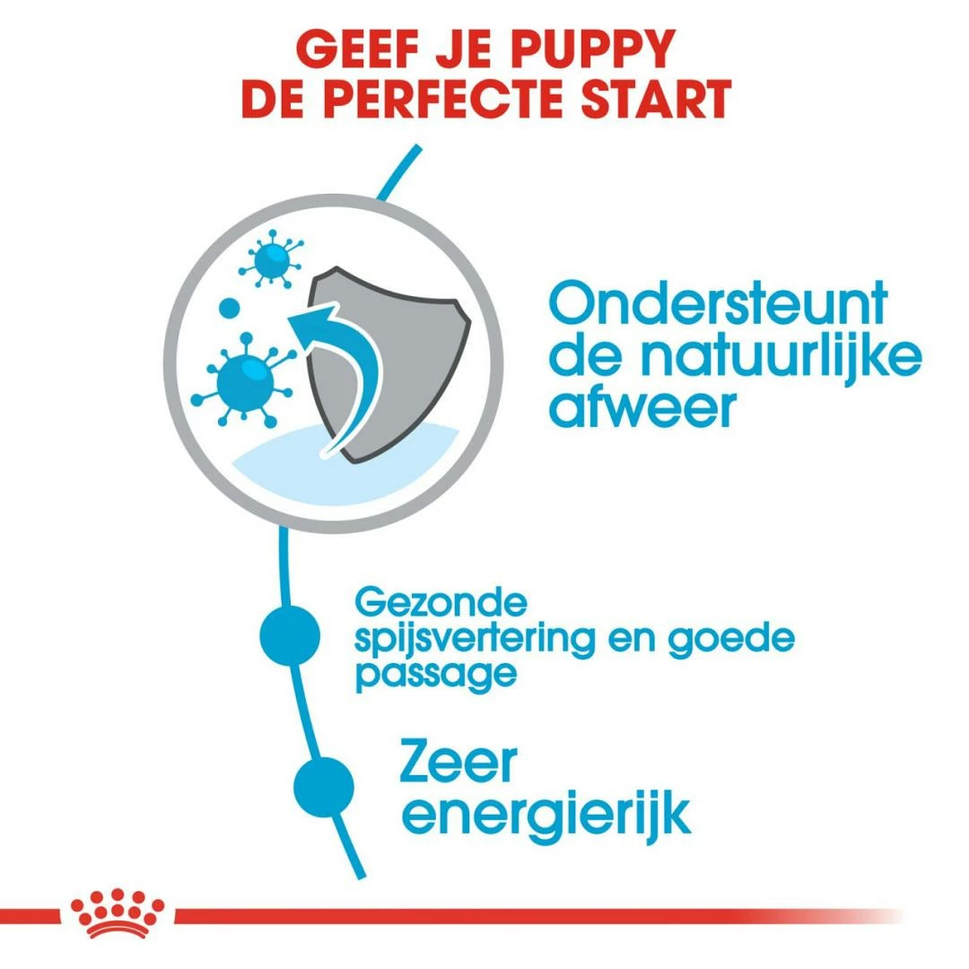 Royal Canin Hondenvoer X-Small Puppy 3 Kg 3 Royal Canin Hondenvoer X-Small Puppy 3 Kg - Afbeelding 3